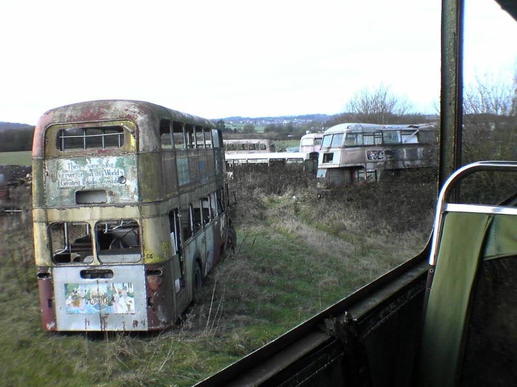 A photo of Bus Graveyard
